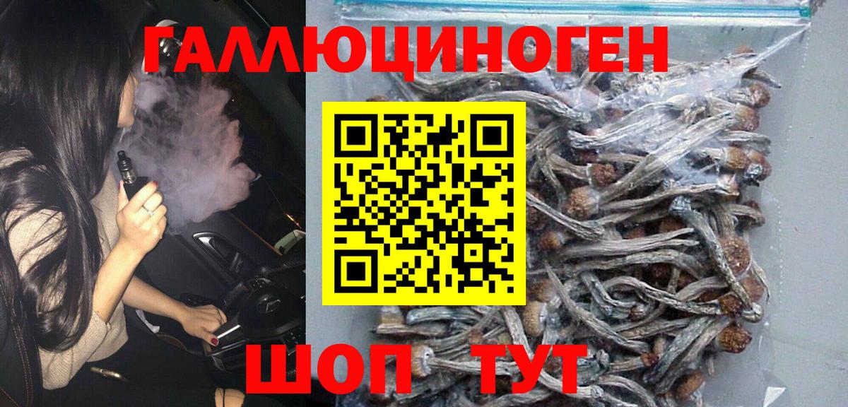 Галлюциногенные грибы Psilocybe Мытищи