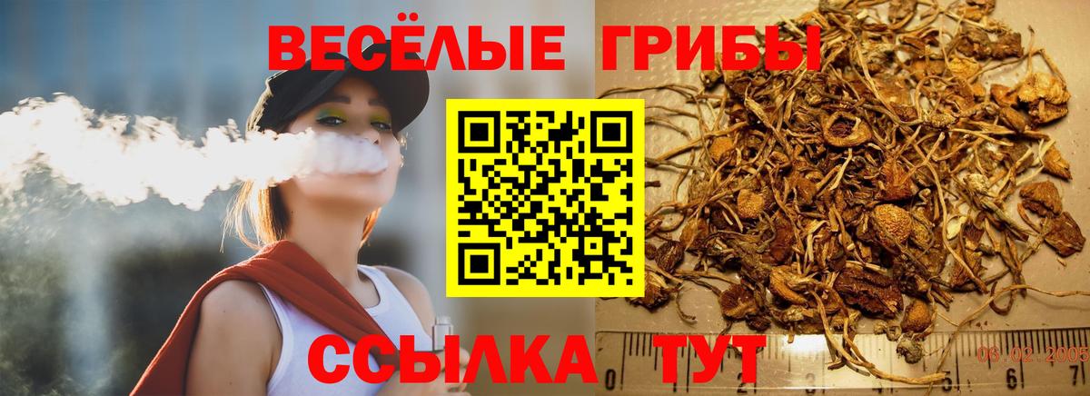 Псилоцибиновые грибы Psilocybine cubensis  Вход с VPN  Галлюциногенные грибы мицелий  Мытищи 